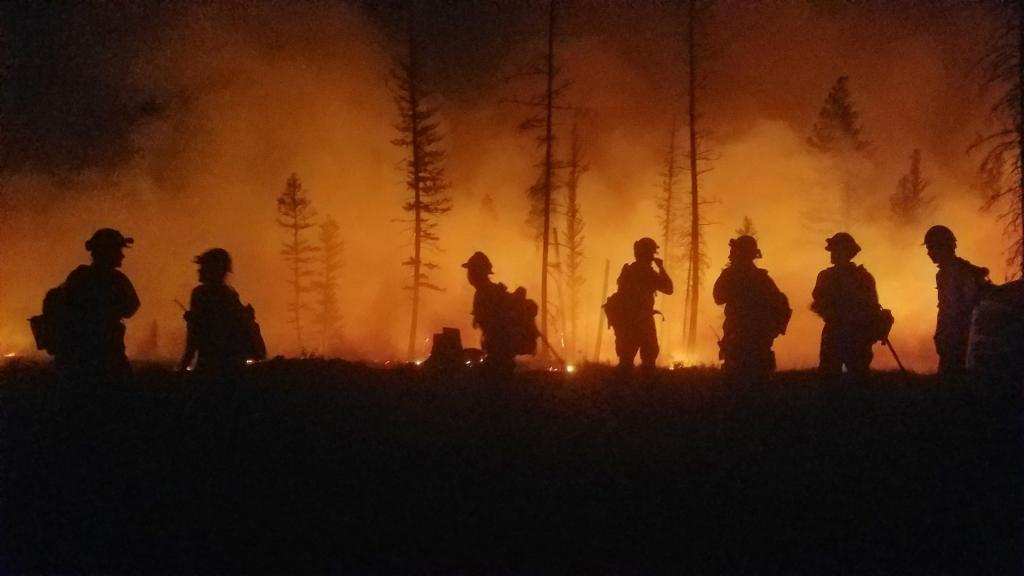 Metsäpalot ilmastokriisin seurauksena